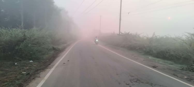 Giridih News :सुबह में छाया रहा कोहरा, ठंड का एहसास