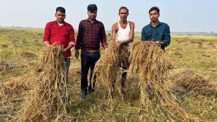 Giridih News :मोंथा से परेशान किसानों ने सरकार से की राहत की फरियाद