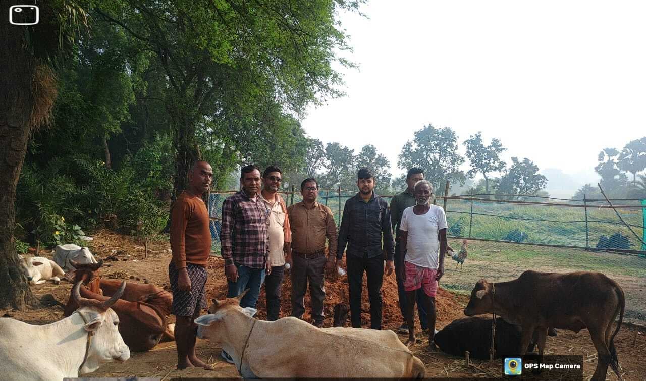 पशुओं को बीमारी से बचाने के लिए किया गया टीकाकरण