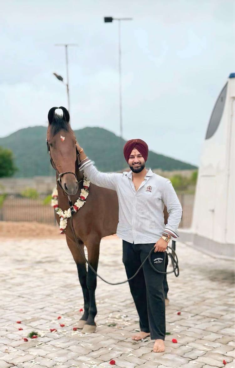 Jharkhand ratan Rambo got 10th position in puskar Mela Horse ring: झारखंड रतन रैंबो को मिला दसवां स्थान