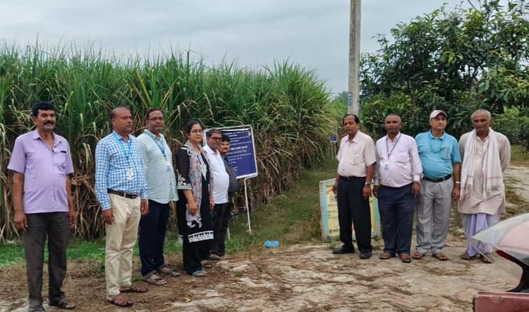 Samastipur News:लालसर रोग से निजात को शोध की हुई शुरुआत : डॉ बलवंत