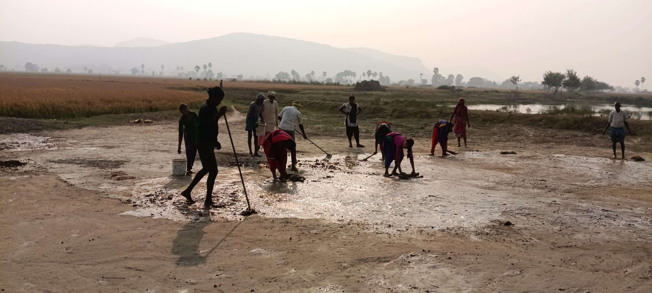 जिले के कई गांवों में धान की कटनी में आयी तेजी