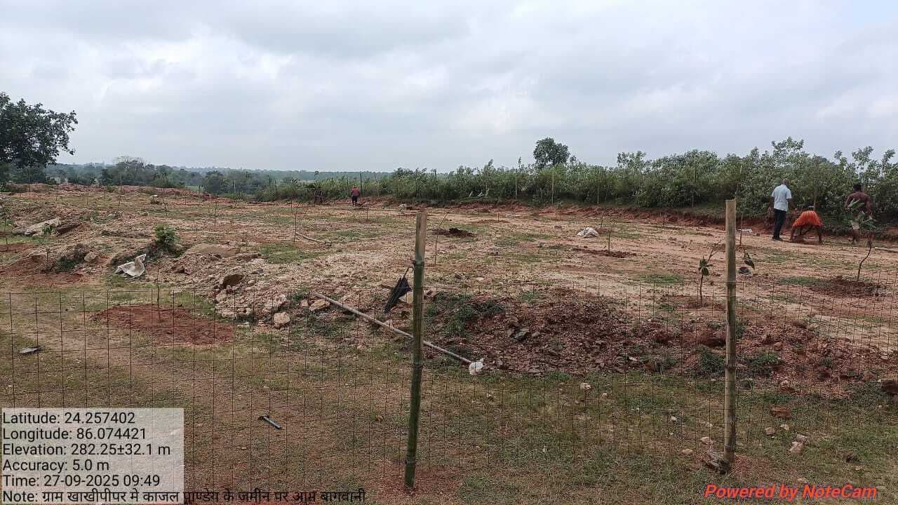 Giridih News :पौधा उखाड़ने के मामले में भाकपा माले नेता समेत 11 पर केस