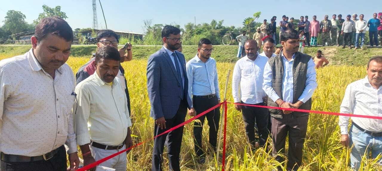 डीएम ने किया धान कटनी प्रयोग का निरीक्षण