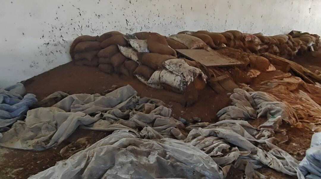 लाखों का धान गोदाम में सड़ कर हुआ बर्बाद