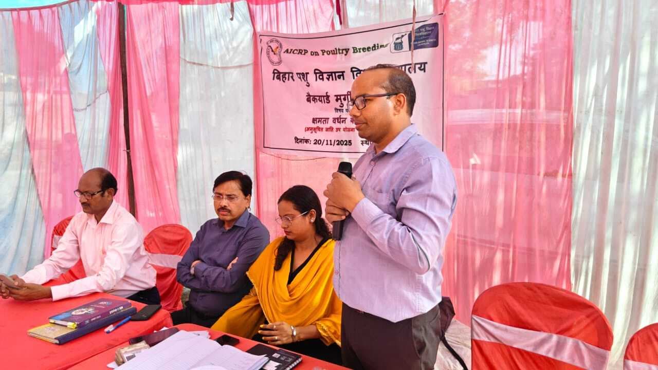 देसी नस्ल की गायों को पालने पर होगी अच्छी आमदनी : वैज्ञानिक