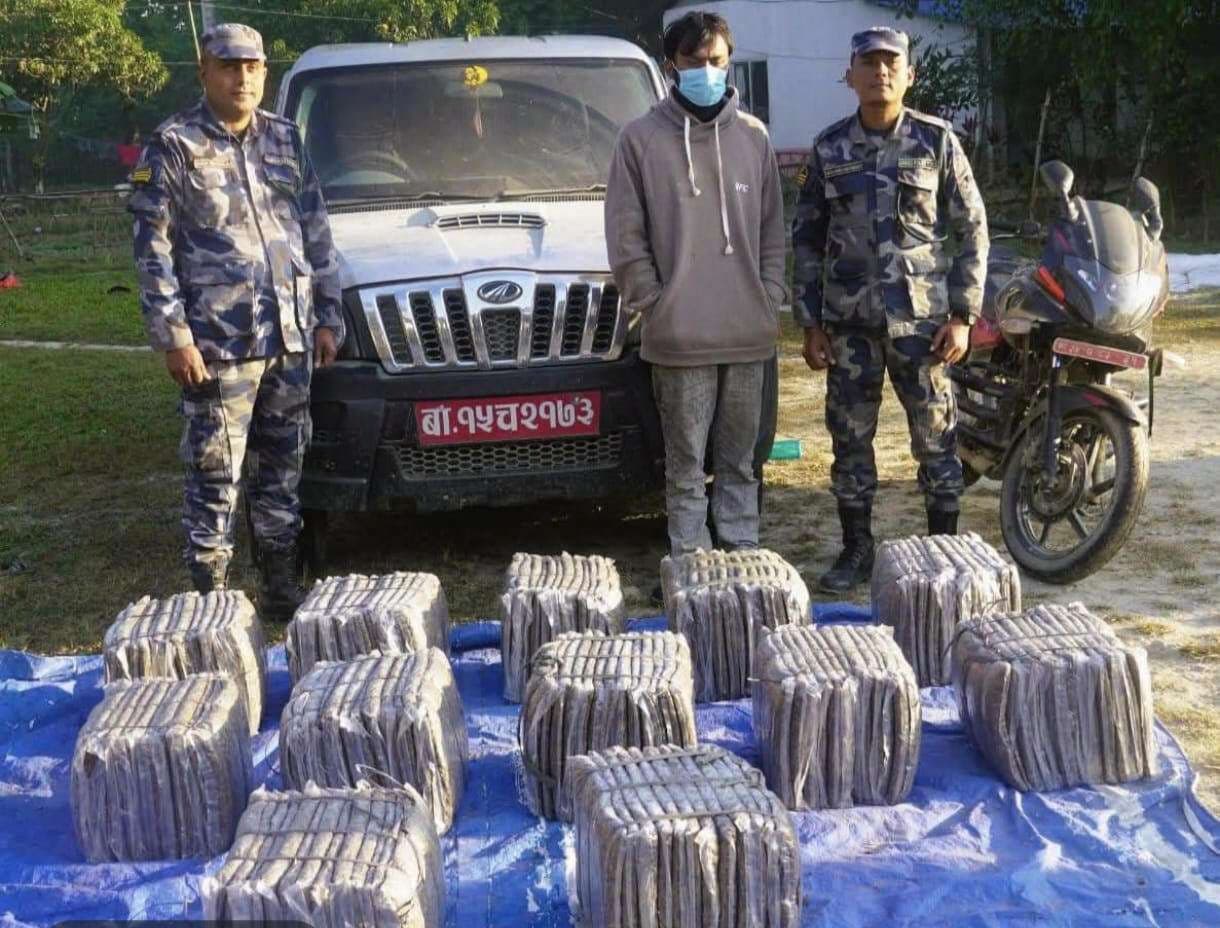 153 किलो गांजा के साथ दो तस्कर गिरफ्तार