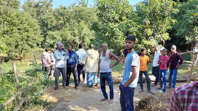 Madhubani News : मरूकिया गांव में आम के पेड़ से लटका मिला युवक का शव