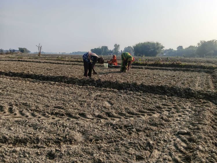 रबी सीजन शुरू होते ही खाद संकट शुरु, किसान परेशान