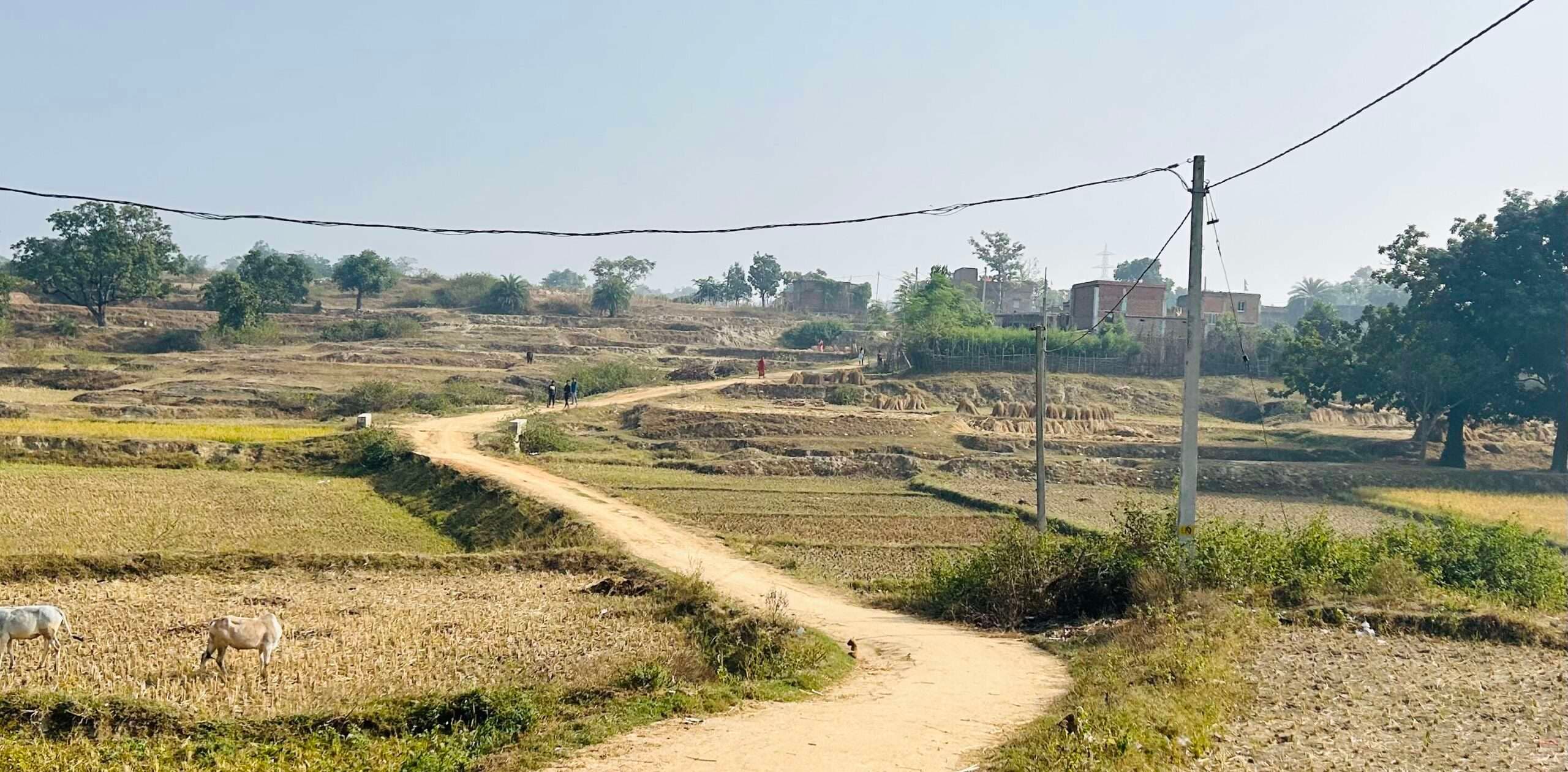 Giridih News: तिसरी से अबरखा जाने के लिए पगडंडी ही है एकमात्र सहारा