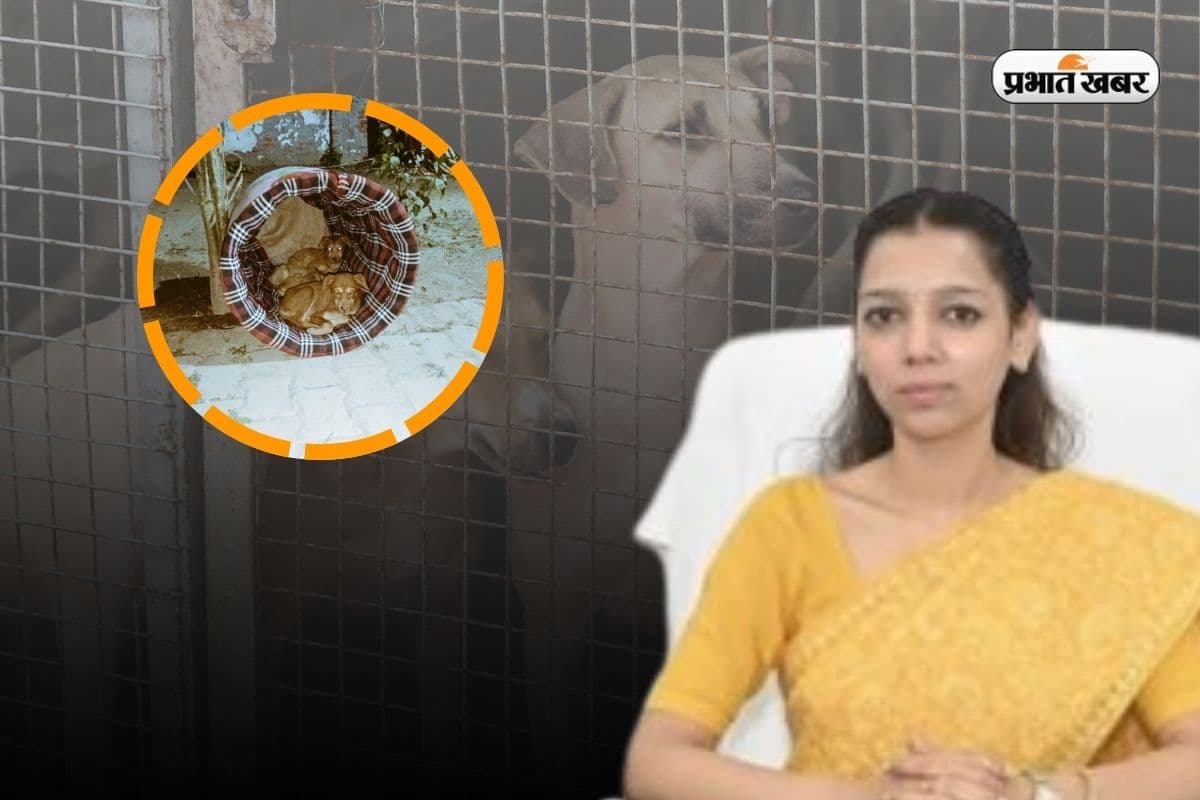 Baghpat DM Asmita Lal Success Story Baghpat DM Asmita Lal Success Story