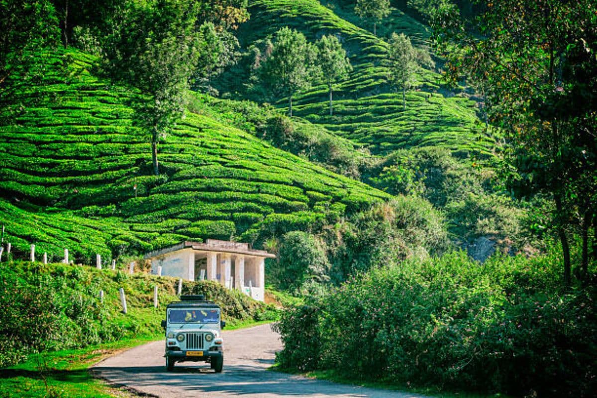 New Year Family Trip Ideas: नए साल का जश्न मनाने के लिए ड्रीम डेस्टिनेशन हैं भारत की ये जगहें