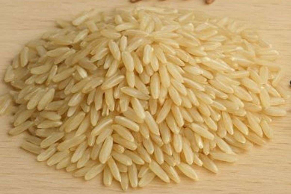 वजन कम करना है और चावल भी नहीं छोड़ना चाहते? ये वाला खा लें मोम की तरह पिघल जाएगी चर्बी