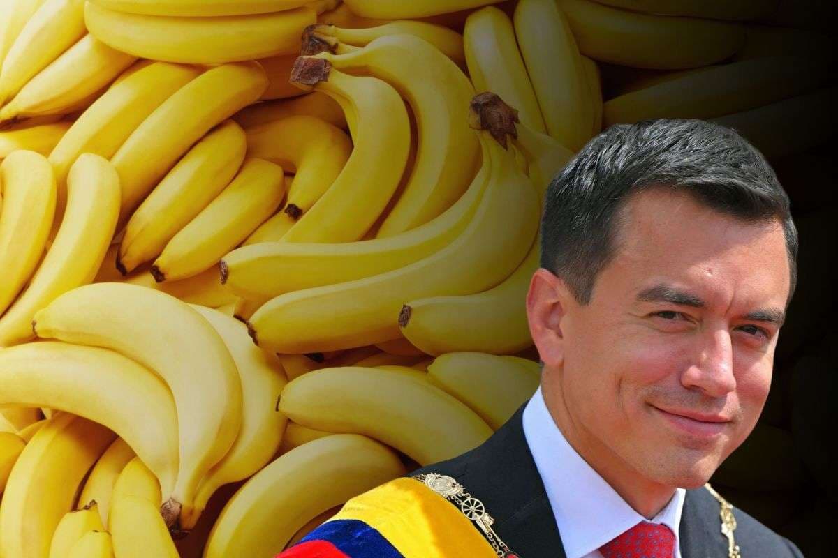 Cocaine Smuggling Ecuador President Family Banana Business Exposed Cocaine Smuggling Ecuador President Family Banana Business Exposed
