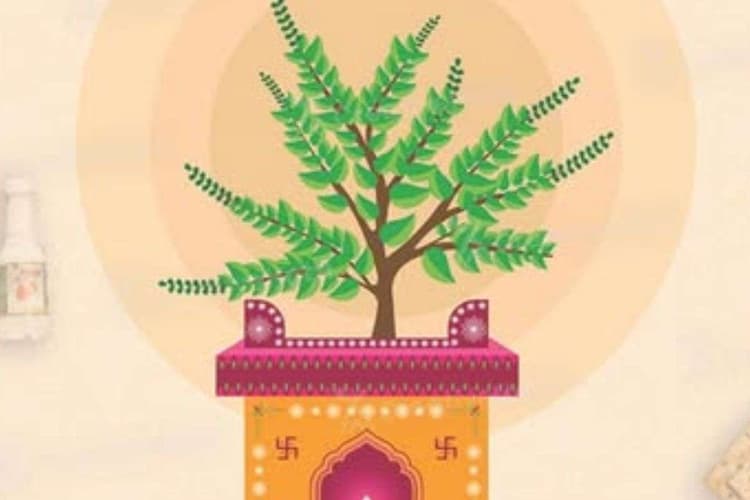 Happy Tulsi Pujan Diwas 2025 Wishes: तुलसी माता की आराधना से दूर हों संकट, यहां से भेजें तुलसी पूजन दिवस की शुभकामनाएं