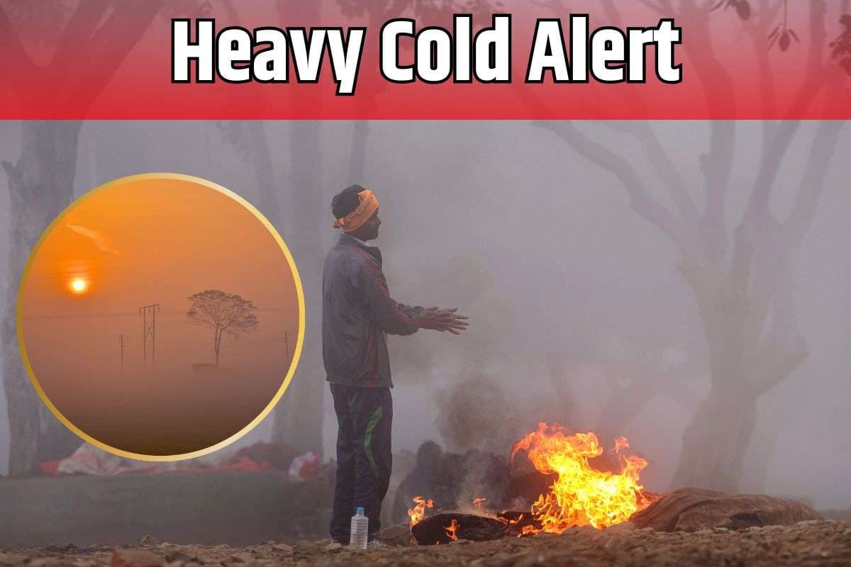 Heavy Cold Alert Heavy Cold Alert