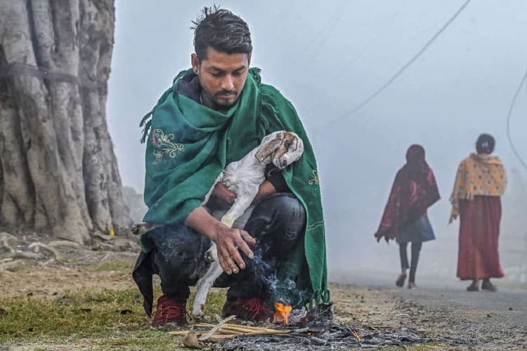 Cold Wave Warning : इन इलाकों में पड़ेगी भीषण ठंड, यहां होगी बारिश, आया IMD का अलर्ट