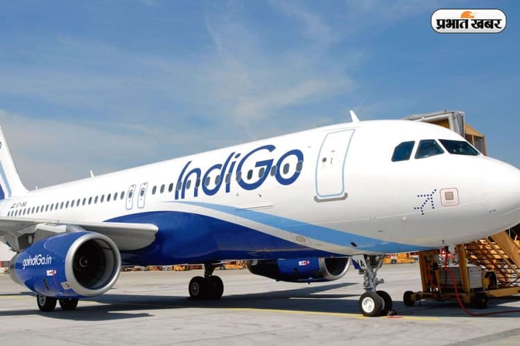 Indigo Share Price: उड़ान रद्द होने से IndiGo को कितना नुकसान? मुनाफे, भरोसे और शेयरों पर असर