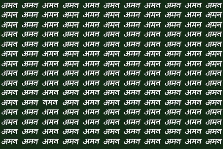 Optical Illusion: पहेलियों के धुरंधर भी नहीं खोज पाएंगे अमन की भीड़ में नमन, 10 सेकंड के अंदर ढूंढ़ने का है चैलेंज