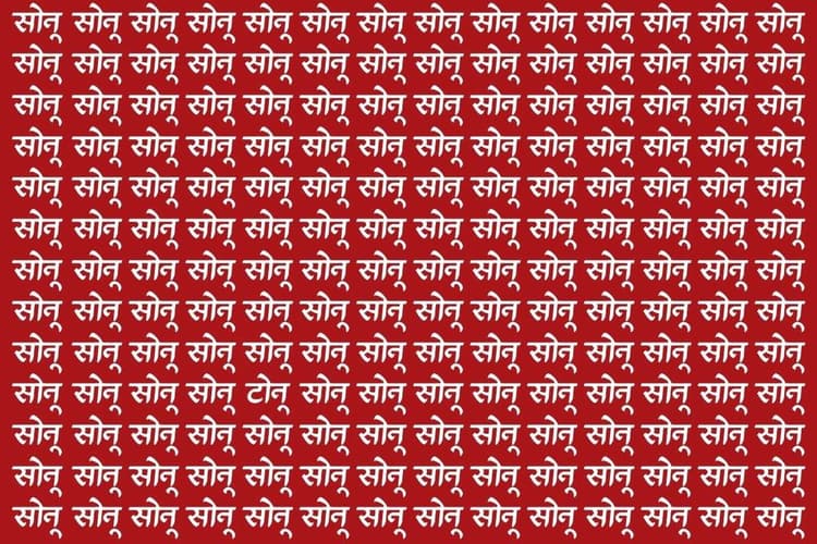 Optical Illusion: पहेलियों के बाजीगर ही सिर्फ ढूंढ पाएंगे इस फोटो में टोनू, 10 सेकंड के अंदर खोजने का है चैलेंज