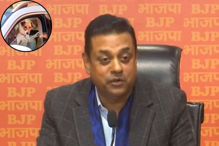 राहुल जी क्या देश आपकी इज्जत करेगा? रेणुका चौधरी के पेट डॉग पर राहुल की प्रतिक्रिया पर बीजेपी का हमला