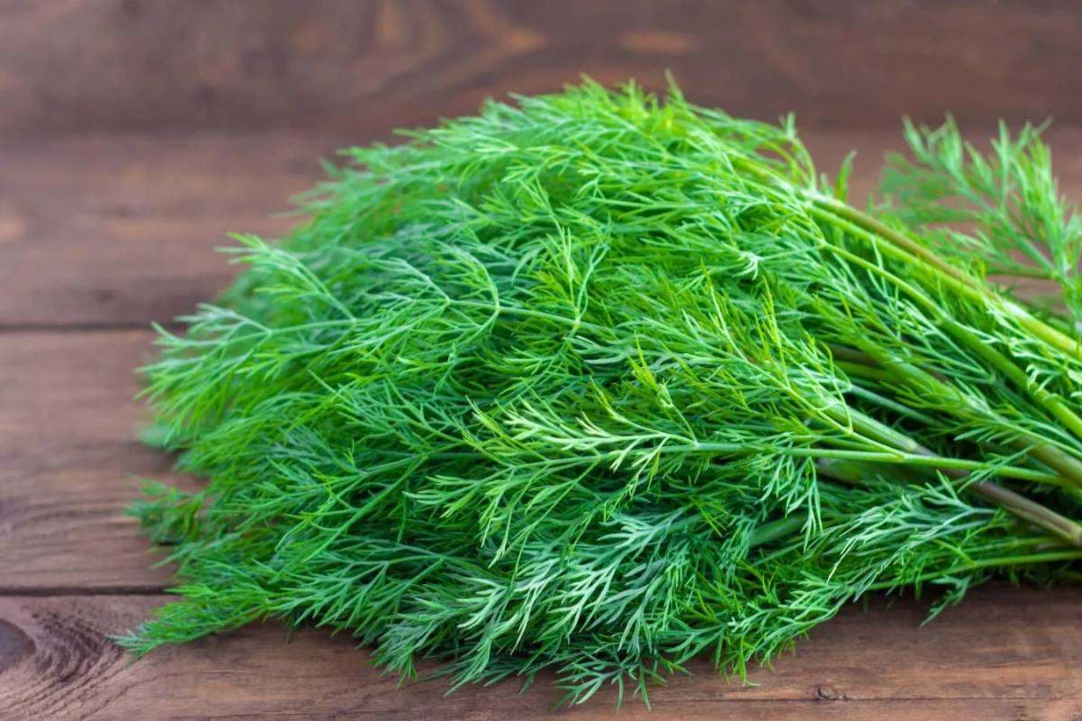 Soya Saag