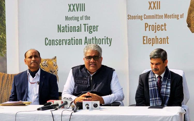 सुंदरबन दुनिया का सुंदर क्षेत्र, बंगाल सरकार ने नहीं किया इसका विकास, बोले भूपेंद्र यादव