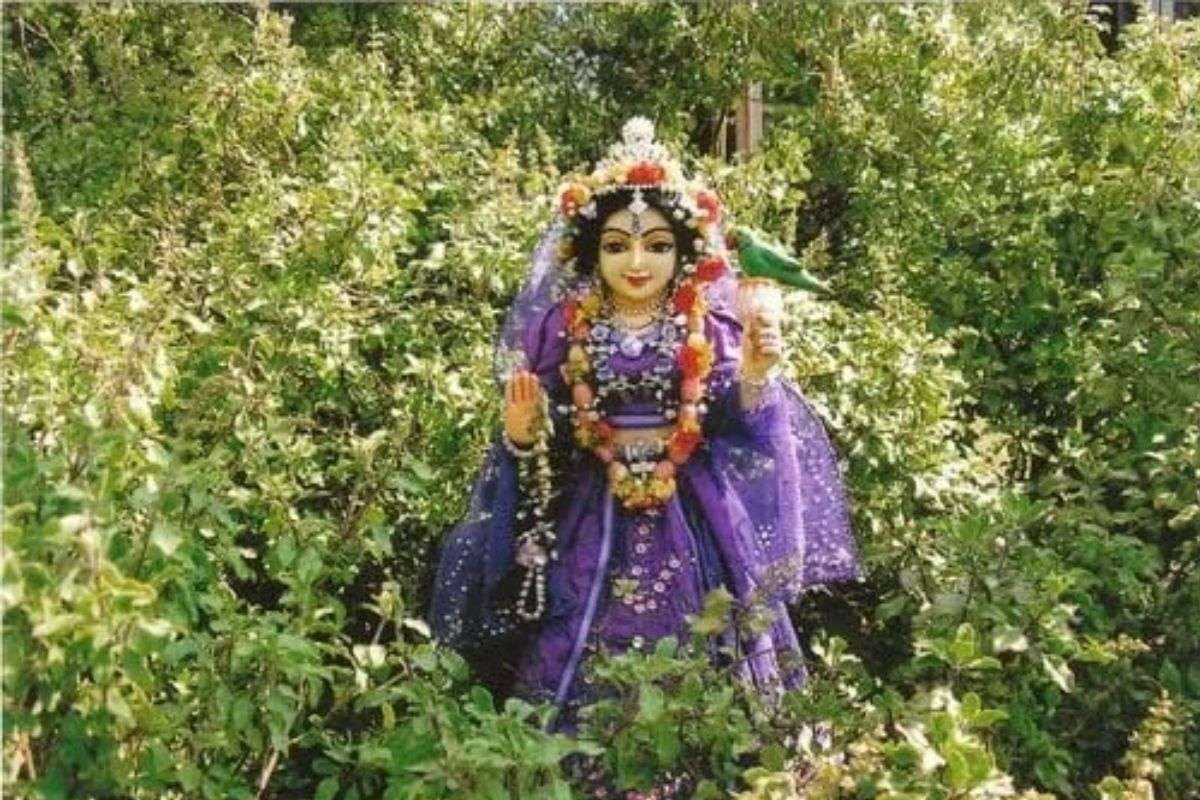 Tulsi Chalisa Aarti Tulsi Chalisa Aarti