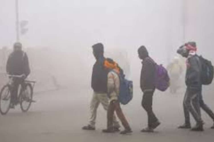UP Weather Alert: भीषण ठंड और घने कोहरे का कहर, 50 जिलों में रेड अलर्ट जारी