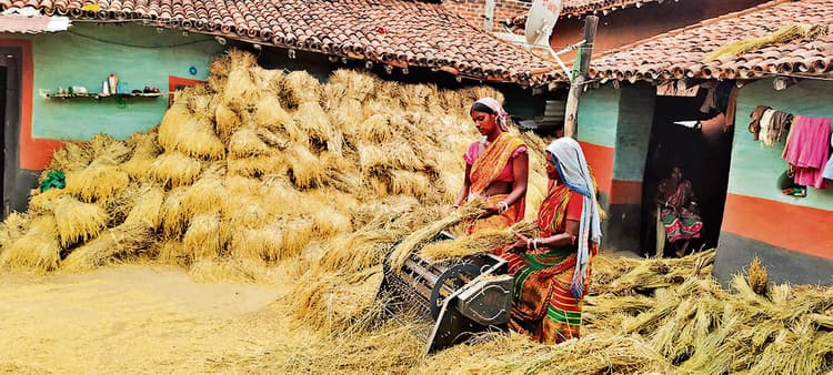 East Singhbhum News : धान खरीद में हो रही देरी से किसान परेशान, सस्ती दर पर बेचने को विवश