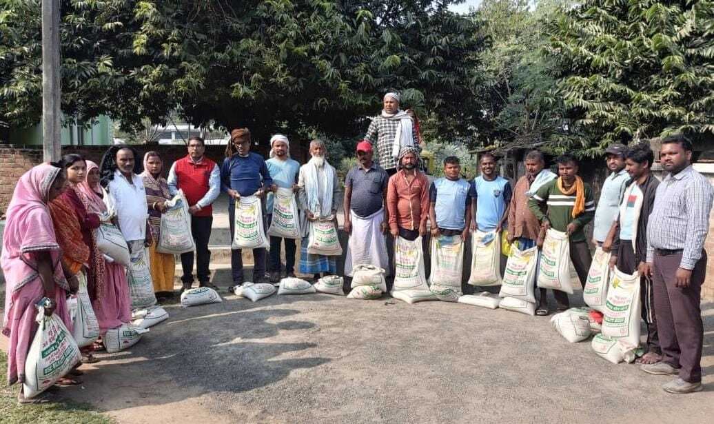 बड़तल्ला में 44 किसानों के बीच बंटा मसूर का बीज