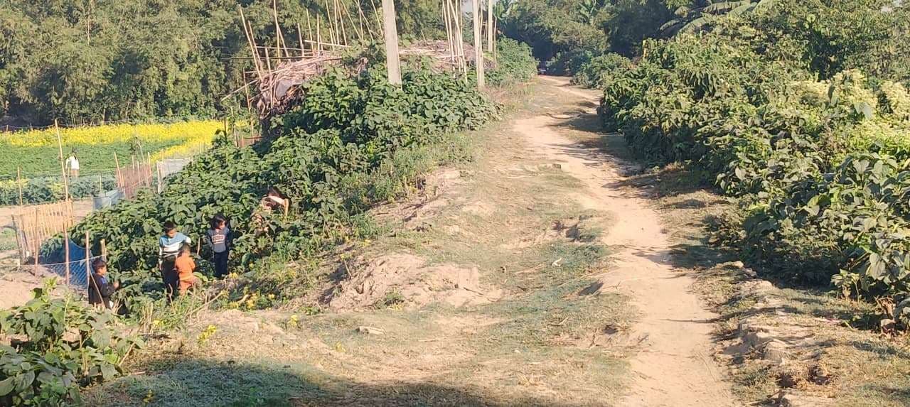 महानंदा पूर्वी तटबंध जर्जर, आवागमन में बढ़ गयी परेशानी