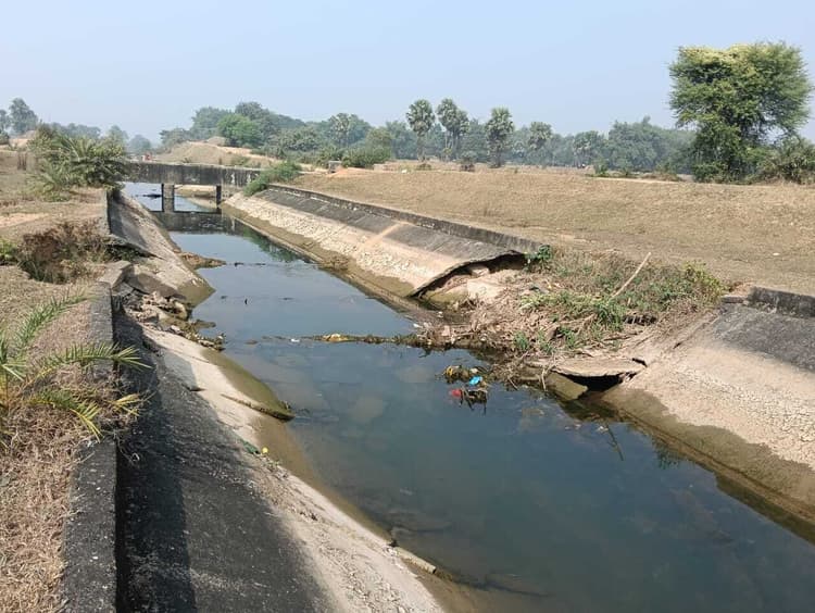 नहर का तटबंध कई जगहों पर क्षतिग्रस्त, पानी हो रहा बर्बाद