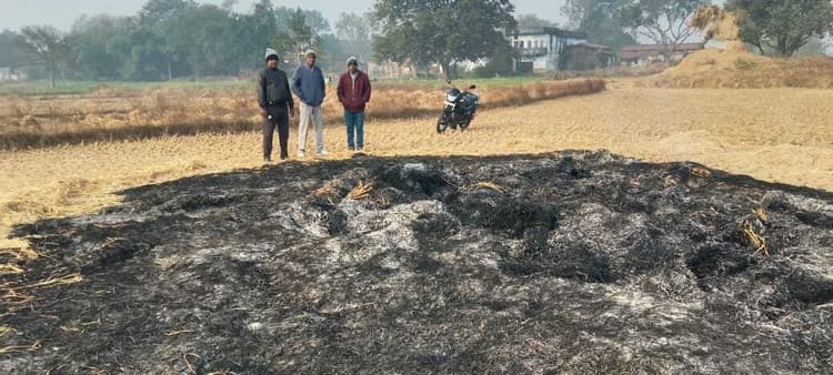 Giridih News :खलिहान में लगी आग, 50 हजार का धान व पुआल जला