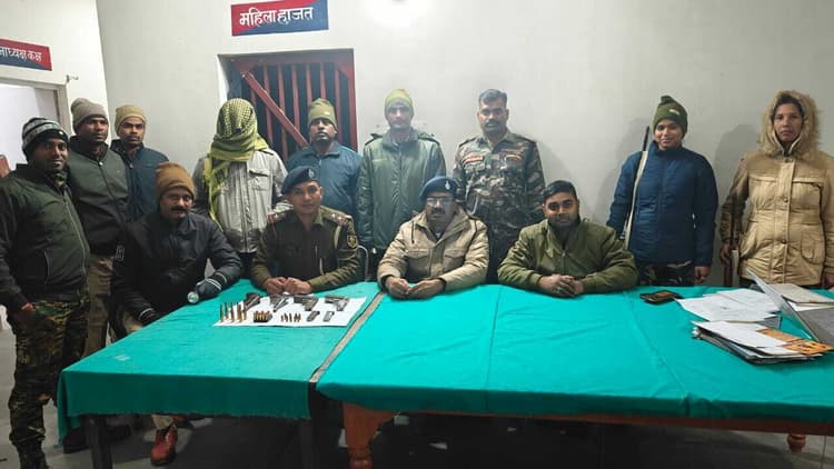 छापेमारी में चार हथियार व भारी मात्रा में कारतूस बरामद, एक गिरफ्तार