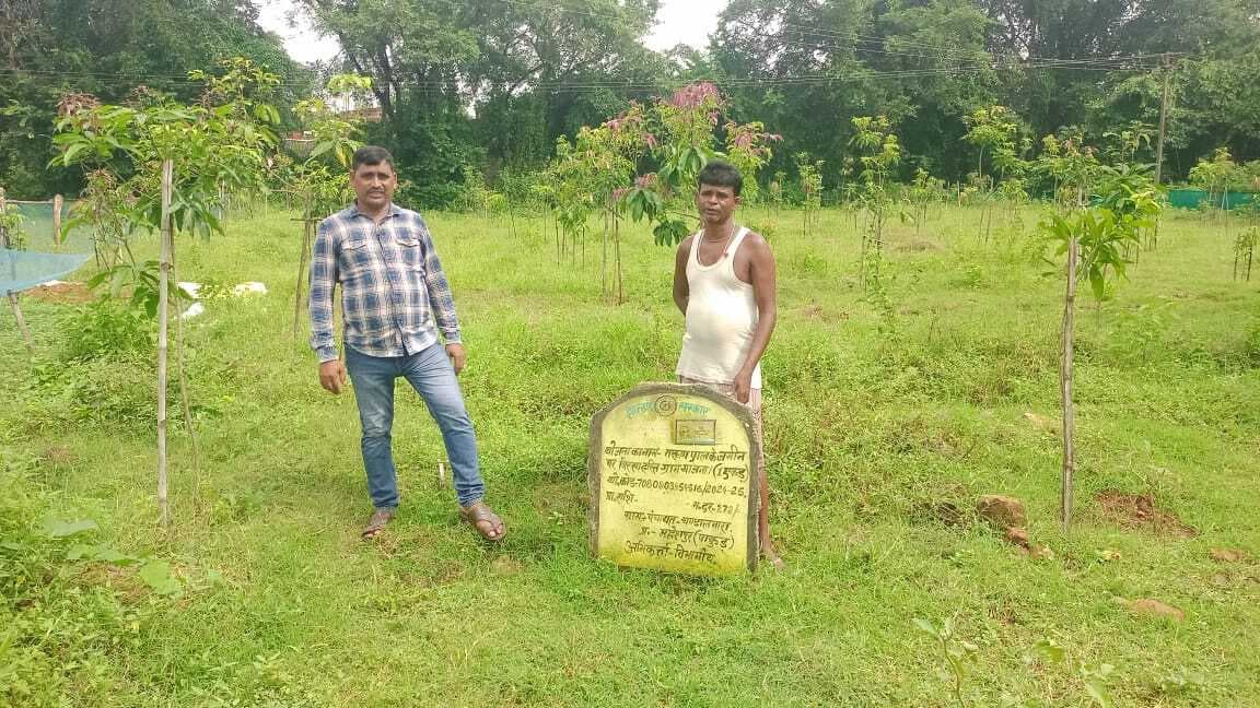 बिरसा हरित ग्राम योजना से बदली तरुण पाल की किस्मत