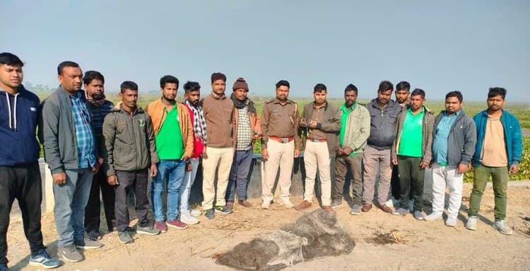 पतौड़ा झील में दुर्लभ पक्षी की रेस्क्यू, अवैध शिकार पर वन विभाग ने की कार्रवाई