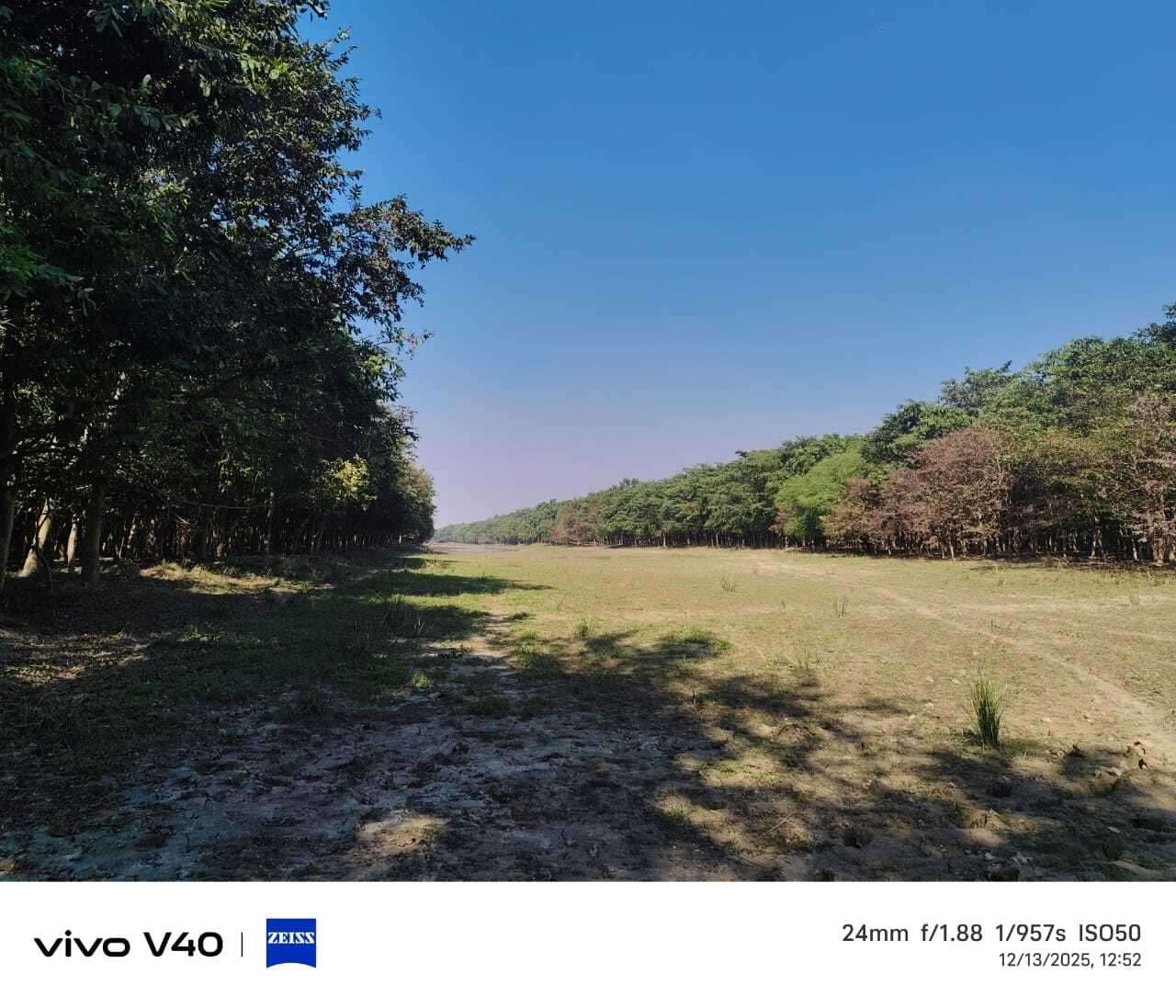 बायोडायवर्सिटी पार्क में प्रवासी पक्षी, डॉल्फिन बने आकर्षण