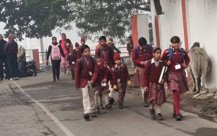 पिपरवार में शीतलहरी व कुहासे का प्रकोप