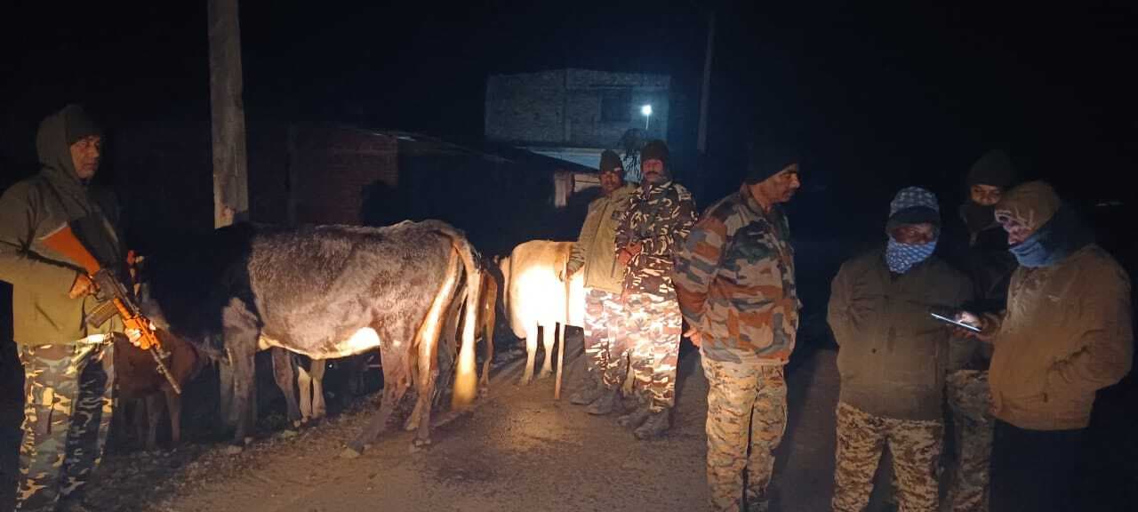 नेपाल से तस्करी कर लाये जा रहे 9 मवेशी जब्त, तस्कर फरार
