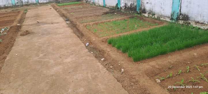 26 जनवरी से होने वाले राजकीय मेले में कृषि प्रदर्शनी की तैयारियां तेज