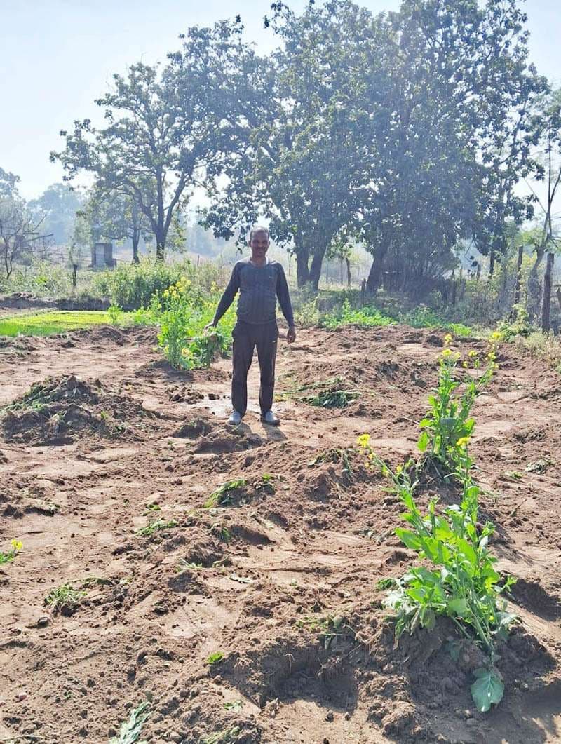 हाथियों ने आलू व प्याज की खेती को किया बर्बाद