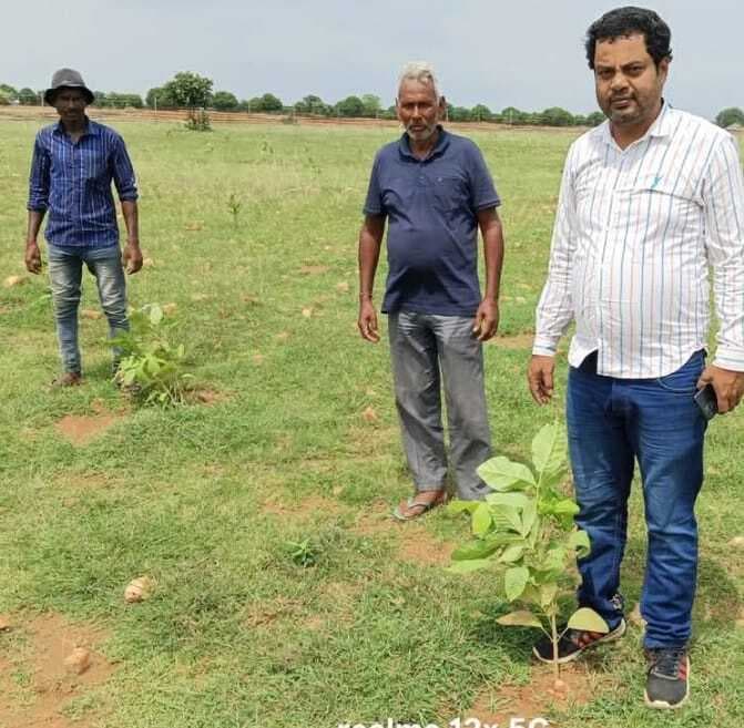 कैटल गार्ड को पौधे के संरक्षण का निर्देश