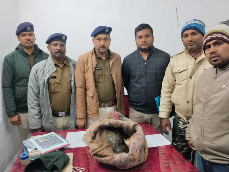 Giridih News :दून एक्सप्रेस से आरपीएफ ने जब्त किये 50 कछुए