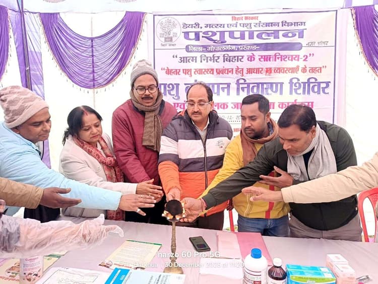 पशु बांझपन निवारण शिविर में 272 पशुओं का हुआ स्वास्थ्य परीक्षण