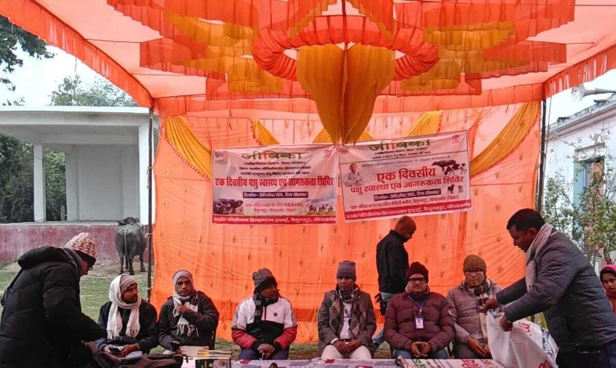बनौरा गांव में पशु चिकित्सा शिविर में 300 से अधिक मवेशियों की हुई जांच