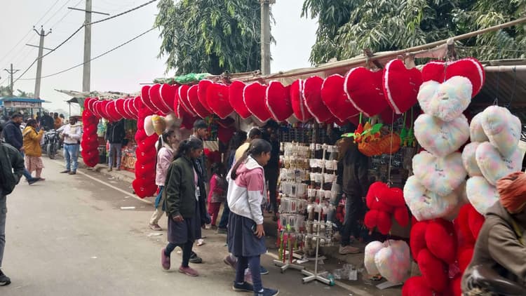 hajipur news. नववर्ष के स्वागत में सज-धजकर तैयार हैं पर्यटक स्थल