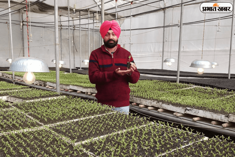 ग्रेजुएशन करते-करते शुरू की खेती, अब विदेशों में भी बज रही हरियाणवी किसान की धाक