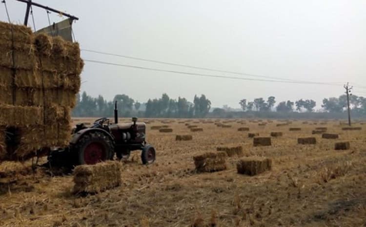 Bihar News: मगध इलाके में पुआल से भरे खेत, अब 40 प्रतिशत हुई रबी की बुआई