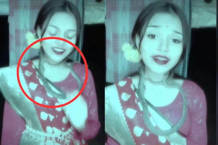Viral Video: हे भगवान! जिंदा सांप को हार की तरह पहनकर लड़की ने लगाए ठुमके, वीडियो देखकर कांप जाएगी रूह